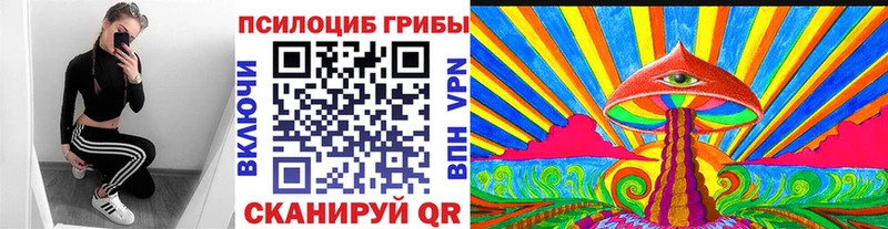 Купить  Талица  Псилоцибиновые грибы Magic Shrooms 