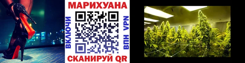 Купить  Талица  Марихуана SATIVA & INDICA 
